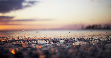 生物凈化反應器